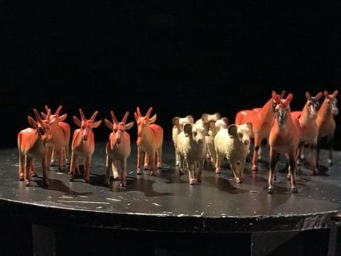 Contre les bêtes